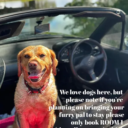 Inn The Highland Drove